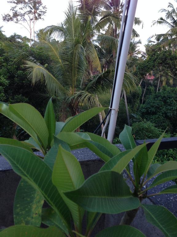 Cebluk Sari Lägenhet Ubud Exteriör bild